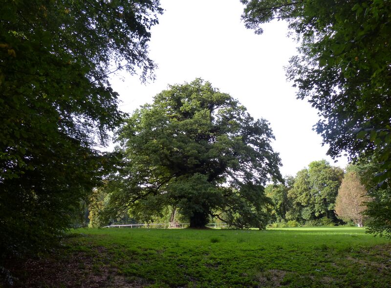 ملف:Feldafinger Park ib-01.jpg