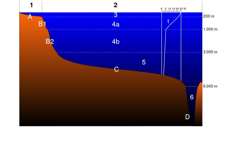 ملف:Oceanic ecosystemes.svg