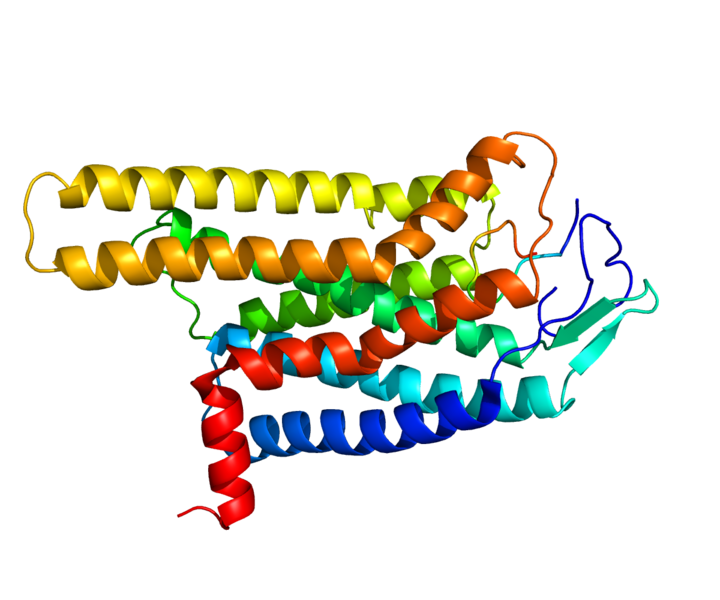 ملف:Protein MC4R PDB 2IQP.png