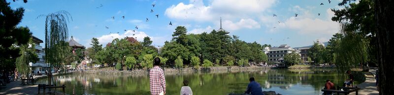 ملف:Sarusawa-ike,猿沢池 - panoramio.jpg