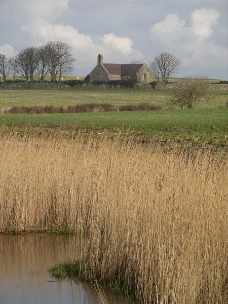 ملف:St Baglans Church 11.JPG