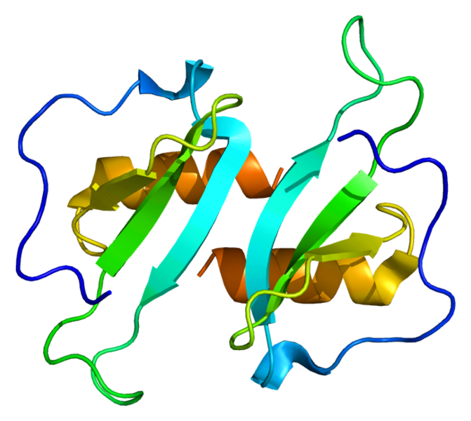 ملف:Protein CCL20 PDB 1m8a.png