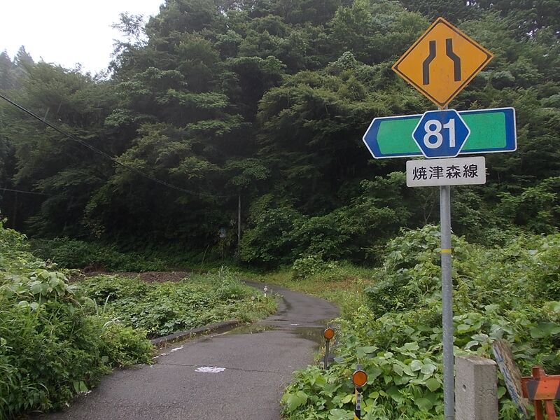 ملف:Shizuoka r81 Ojiro 2.JPG