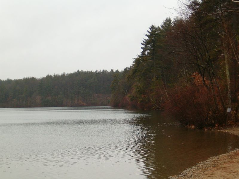 ملف:WaldenPondSpring.jpg