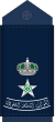 12.RSAF-LTC.svg