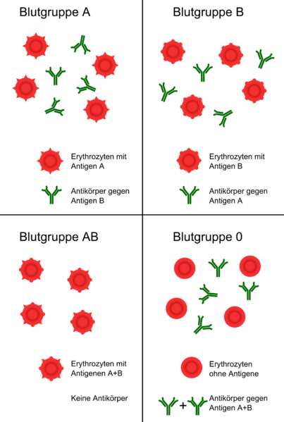 ملف:Blutgruppen AB0-System.png