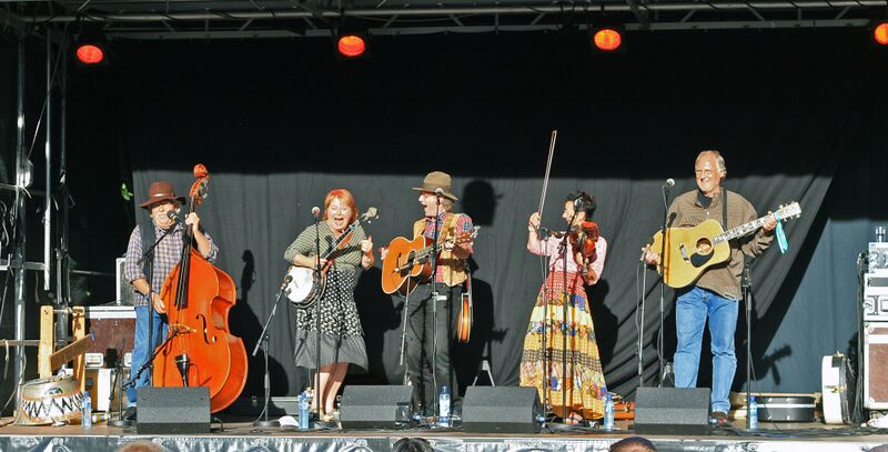 ملف:Christiania Fusel & Blaagress.jpg