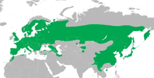 Dendrocopos major distribution map.png