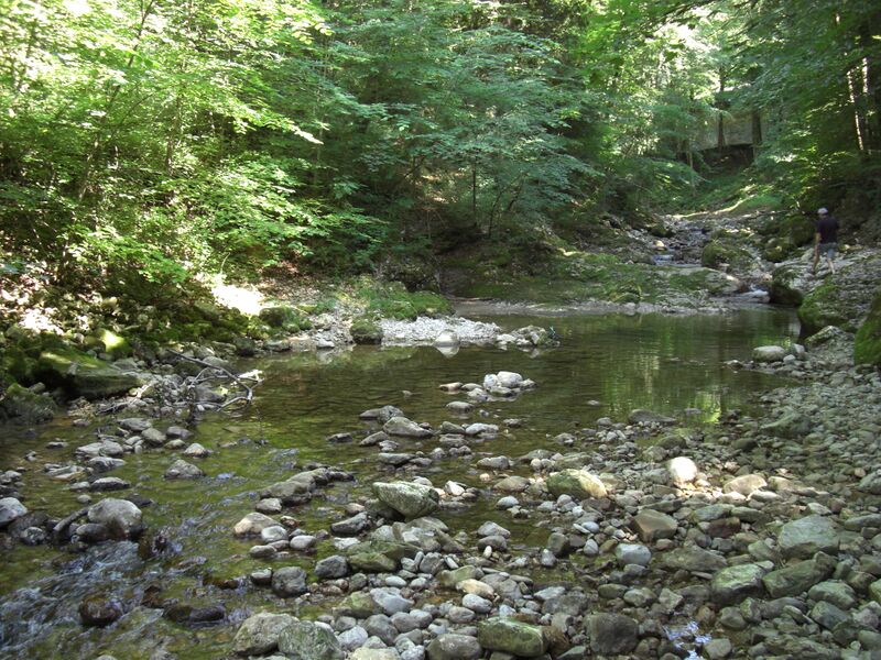 ملف:Glasenbachklamm Klausbach.jpg
