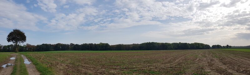 ملف:Oud-Valkenburg-Sint-Jansbosch - Biebosch (6).jpg