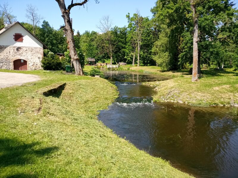 ملف:Umbusi oja Lustiveres.jpg