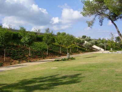 מרכז המבקרים ברמת הנדיב (1).jpg