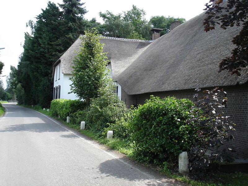 ملف:Achthoven de witte swaen.jpg