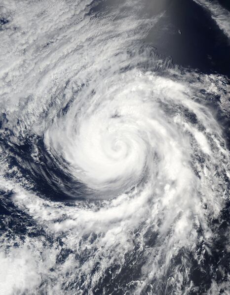 ملف:Frank 2022-07-30 2105Z.jpg