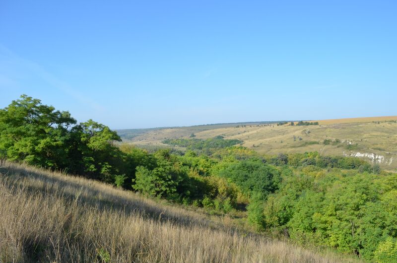 ملف:Verhnya Slobidka 15.JPG