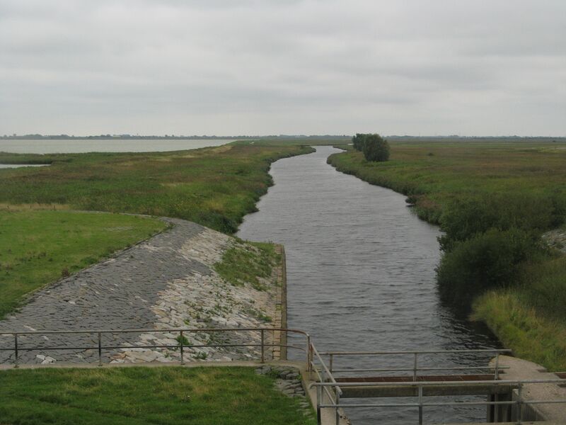 ملف:Arlau beltringharder koog.JPG