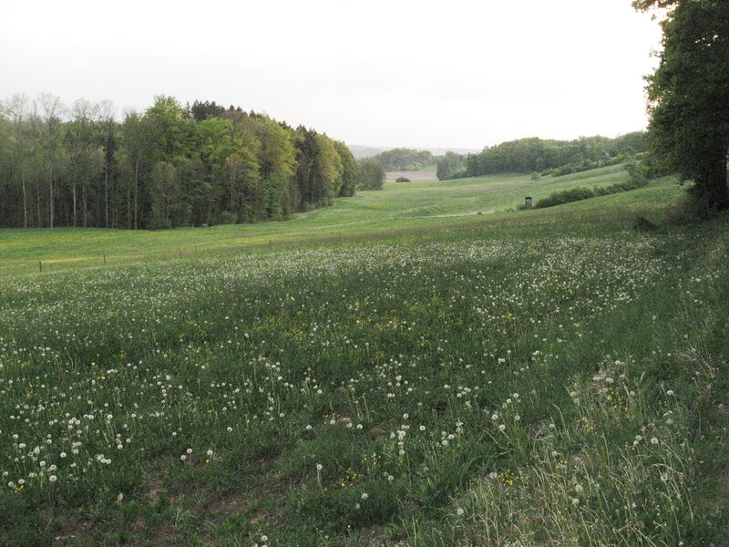 ملف:Dammbachtal unterhalb der Schnellklinge.jpg