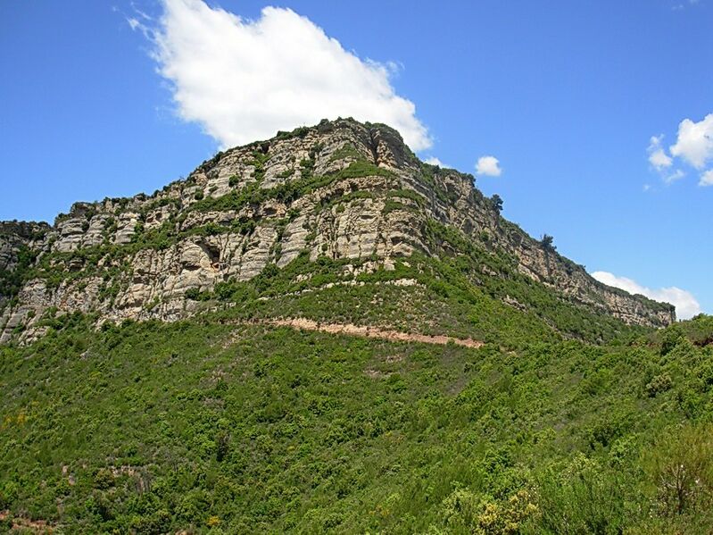 ملف:Puig ciro-cinglesdeberti.jpg