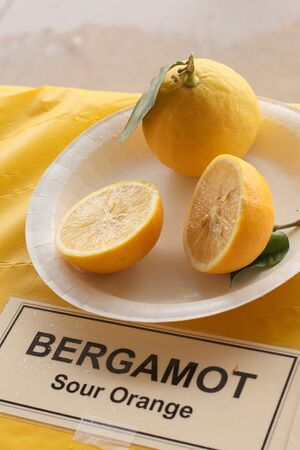 Bergamot - Sour Orange - January 2013.jpg
