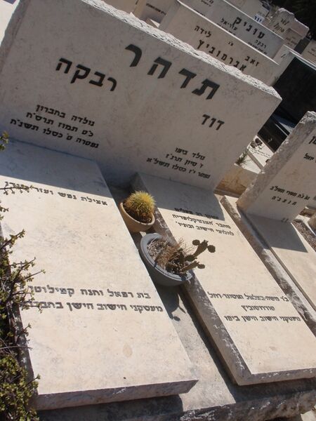 ملف:David Tidhar tombstone.JPG