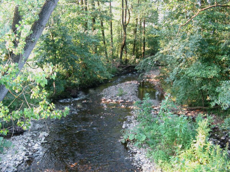 ملف:Exter Almena.jpg