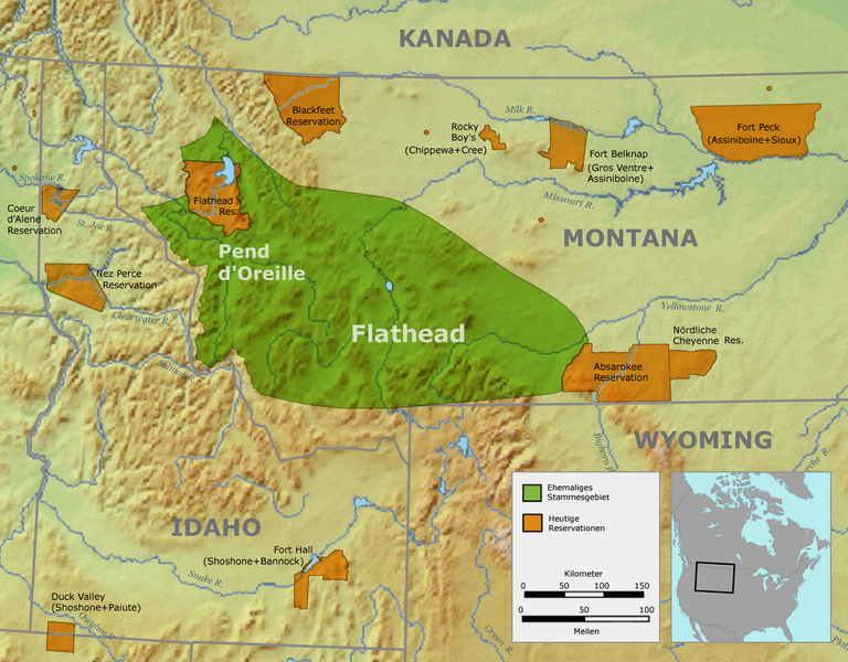 ملف:Flathead01.png