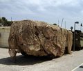 A camouflaged Israeli APC.