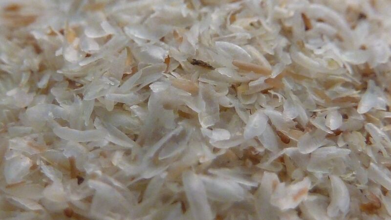 ملف:Psyllium seed husks.JPG