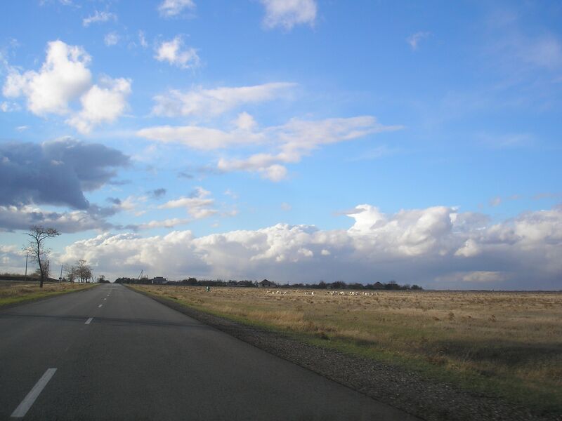 ملف:TymoshenkoCr 1.jpg