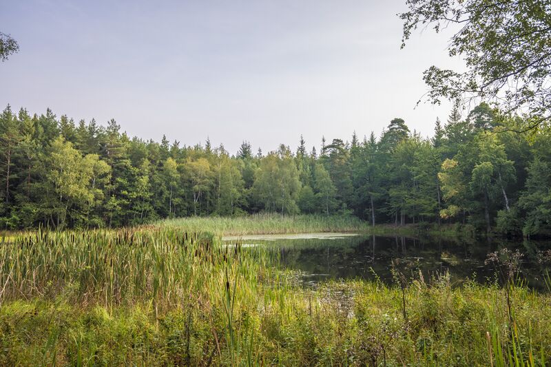 ملف:Der Baunachsee.jpg