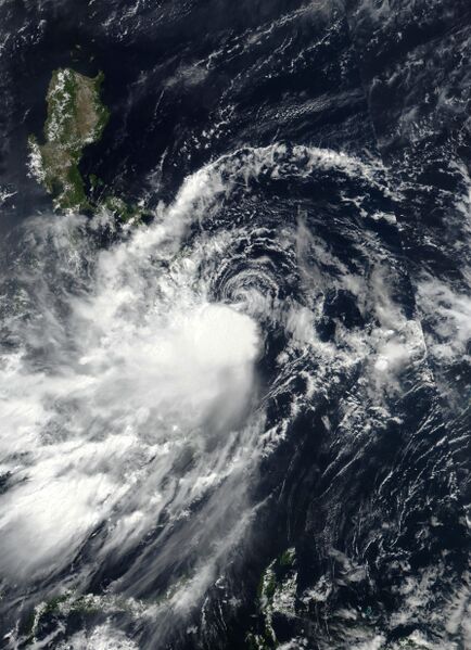 ملف:Choi-wan 2021-06-01 0510Z.jpg