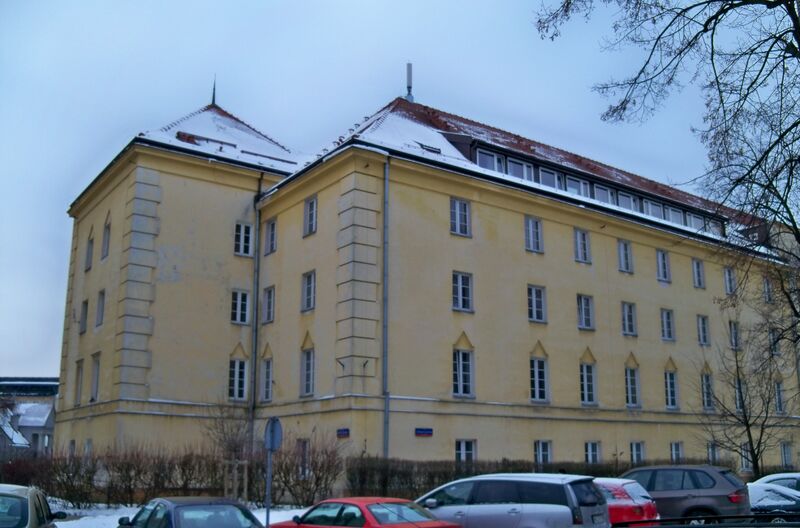 ملف:DS Tulipan Pineska.jpg