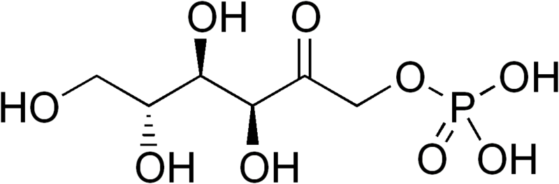 ملف:Fructose-1-phosphate.png