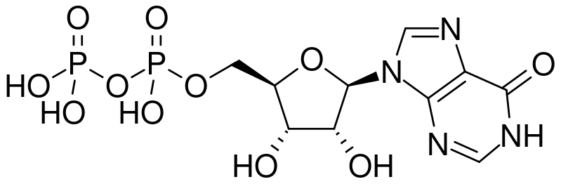 ملف:Inosine diphosphate.svg