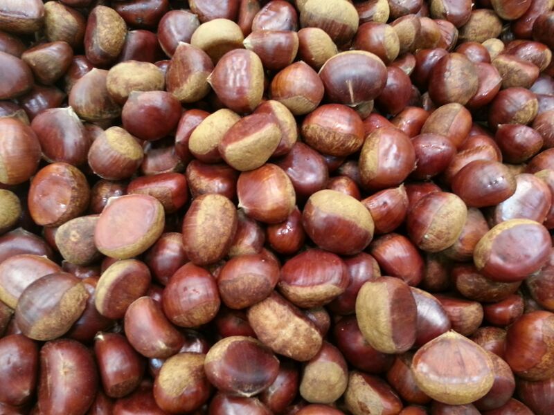 ملف:Jytim131103 - 1.jpeg