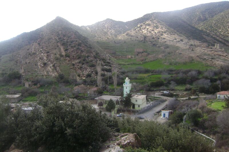 ملف:Forêt de Bitam.jpg