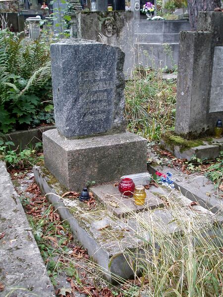 ملف:Grave of Hebus-Baranetska (01).jpg