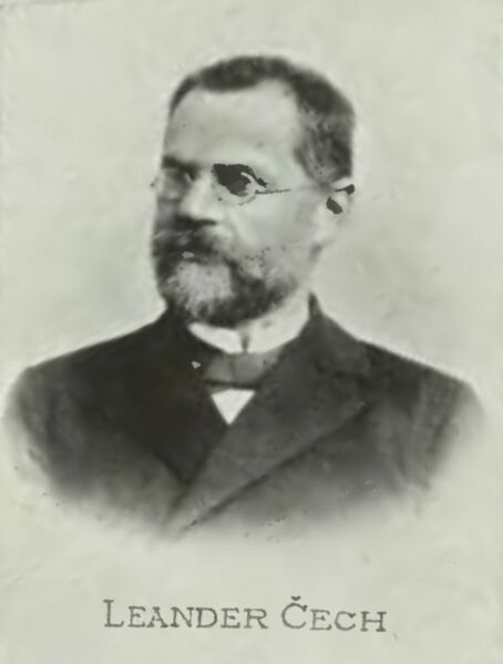 ملف:Leander Čech.jpg