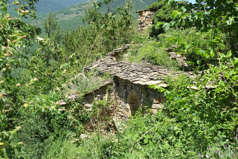 ملف:Morens (Beranui) 4991.JPG