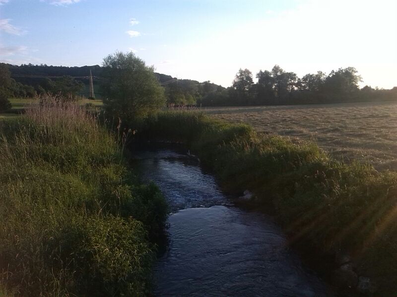 ملف:Roth Zusmarshausen.jpg