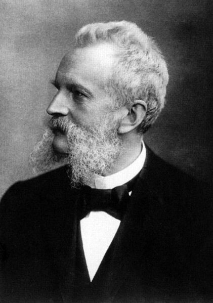 ملف:Alfred Dominicus Pauli.jpg