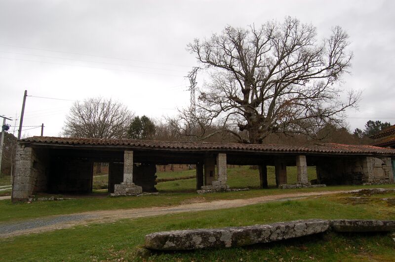ملف:Campo da Feira Moldes.jpg