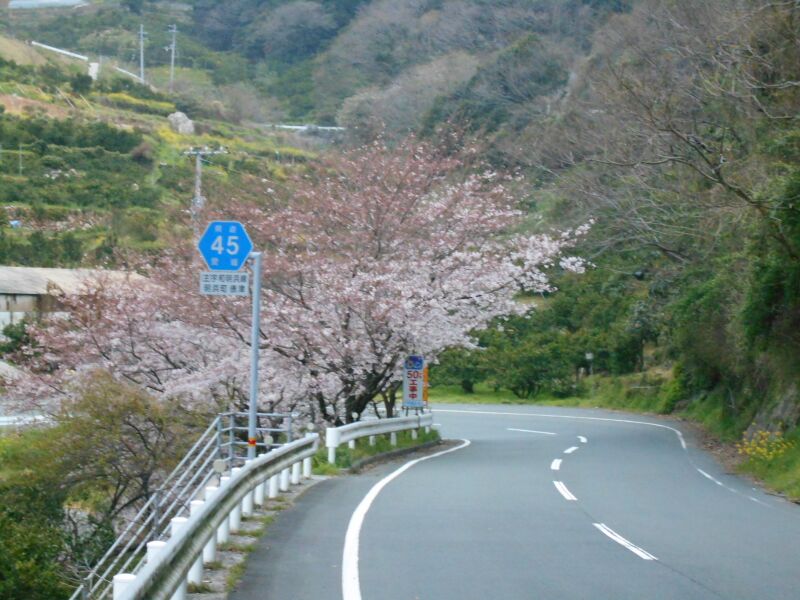 ملف:EhimePrefectural Road45.JPG