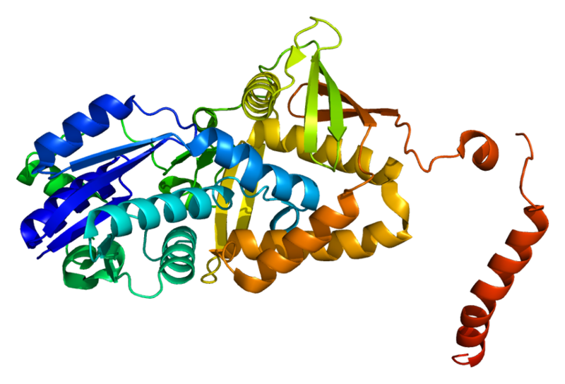ملف:Protein ASS1 PDB 2nz2.png