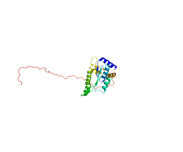 ملف:Protein GJB2 PDB 1XIR.png