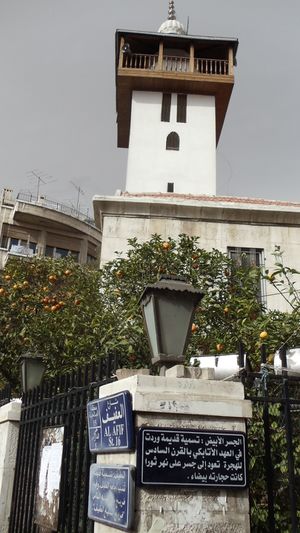 المدرسة الماردانية