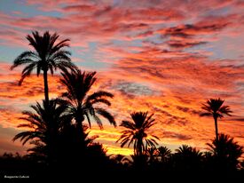 La fin d'une journée à Agdz.JPG