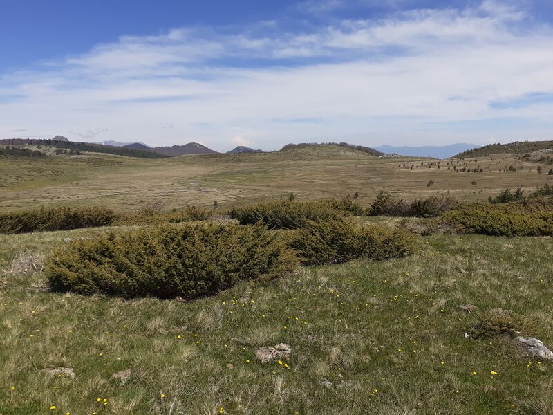 ملف:Добро Поле 03.jpg