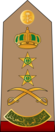 17.RSA-GEN.svg