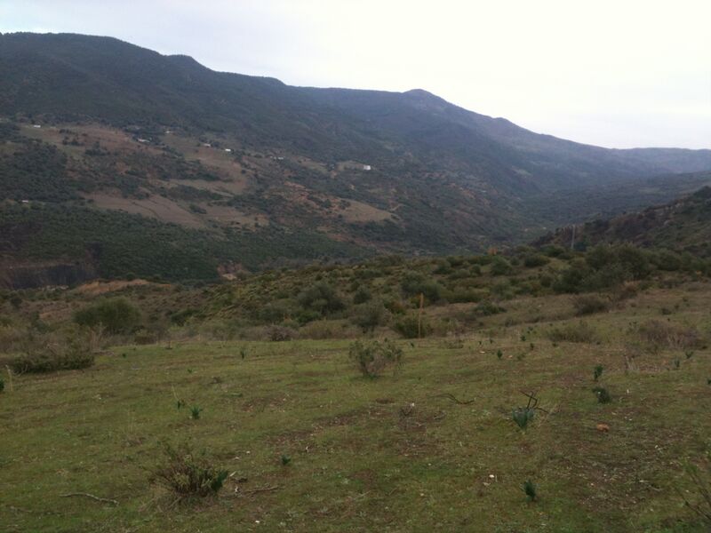 ملف:La vallée de Adjissa.JPG